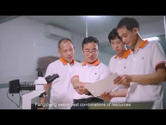 شرکت ال‌سی‌دی دُنگوان فانگ‌شنگ، با مسئولیت محدود